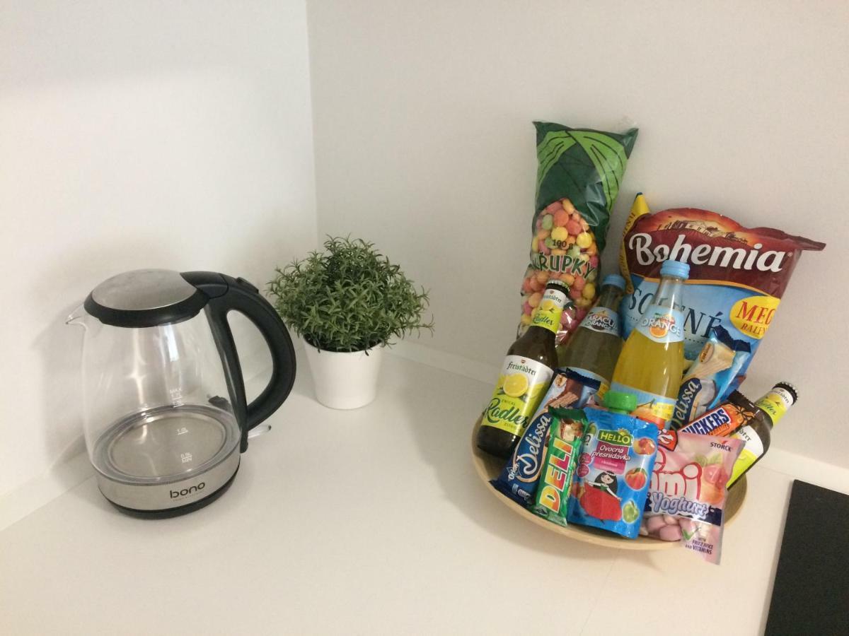 Apartman Lucie Lipno nad Vltavou Eksteriør billede